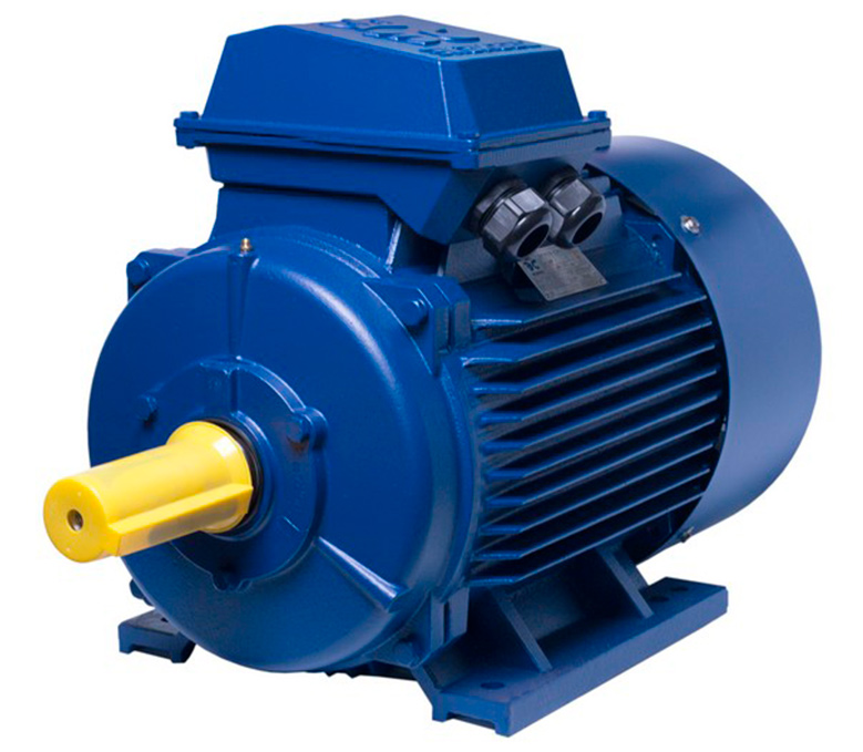 АИР200L6 electric motor 30 KW 1000 rpm IM1081 - ekvives.com