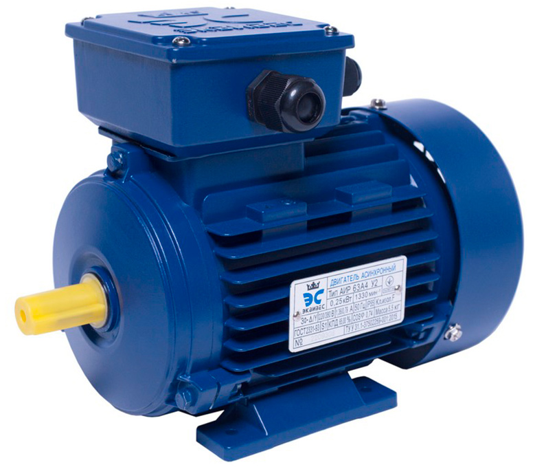 АИР63A2 electric motor 0,37 KW 3000 rpm ІМ1081 - ekvives.com