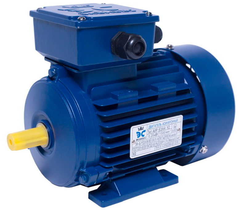 АИР63B2 electric motor 0,55 KW 3000 rpm ІМ1081 - ekvives.com