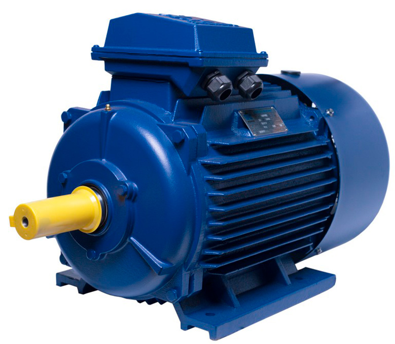 АИР160M6 electric motor 15 KW 1000 rpm ІМ1081 - ekvives.com