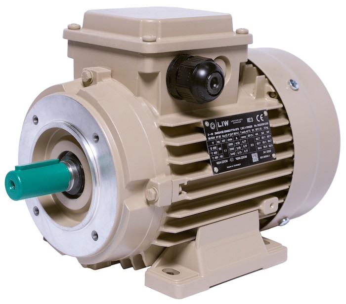 Electric motor IE3 energy-efficient LEDERMANN L3E A 80MA2 0.75 kW 3000 rpm B3 