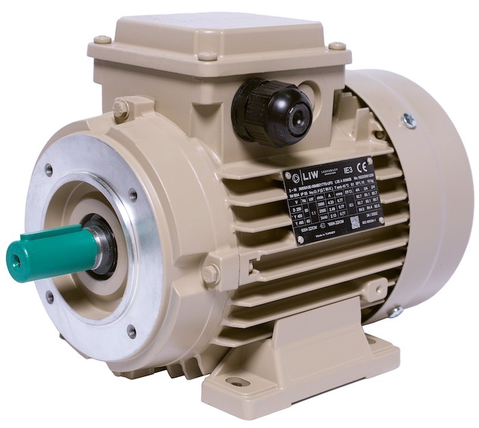 Electric motor IE3 energy-efficient LEDERMANN L3E A 80MB2 1.1 kW  3000 rpm B3  - ekvives.com