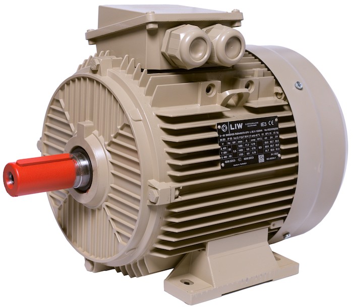Electric motor IE3 energy-efficient LEDERMANN L3E A 132SA6 3 kW 1000 rpm B3 - ekvives.com