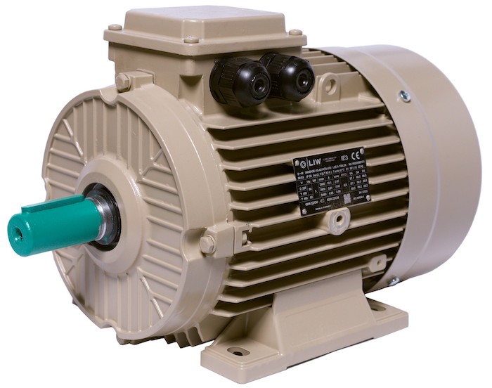 Electric motor IE3 energy-efficient LEDERMANN L3E A 112MA4 4 kW 1500 rpm B3 - ekvives.com