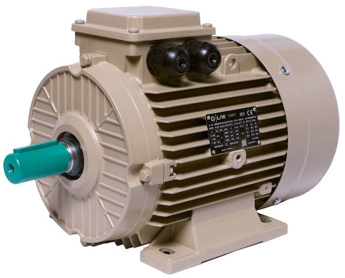 Електродвигун IE3 енергоефективний LEDERMANN L3E A 112MK2 5.5 кВт 3000 об/хв B3 - ekvives.com