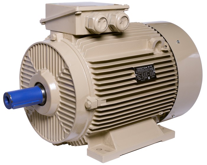 Electric motor IE3 energy-efficient LEDERMANN L3E A 200LK2 45 kW 3000 rpm B3 - ekvives.com